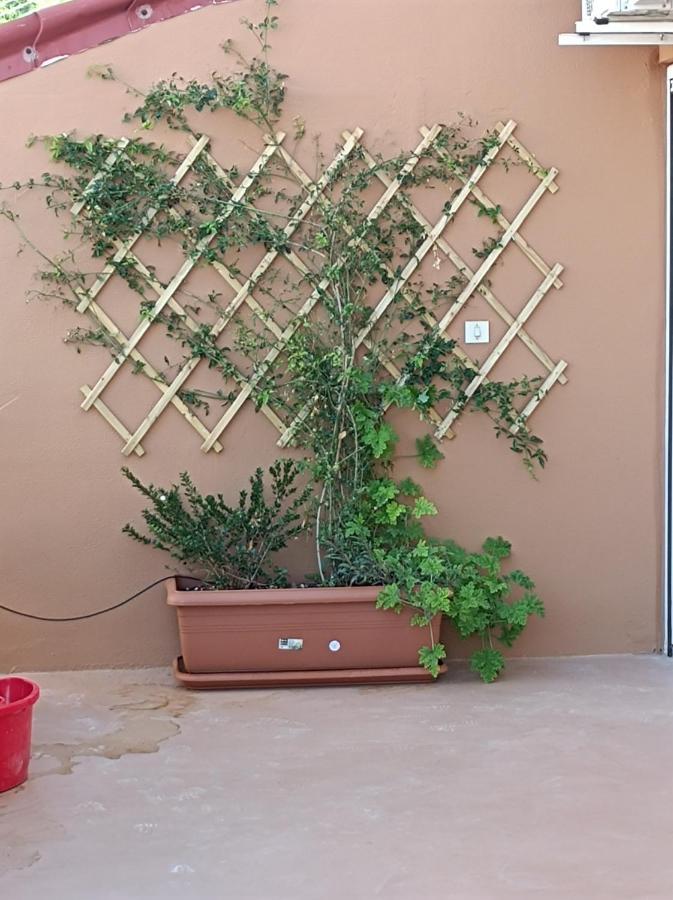 אתונה Full Acropolis View Apartment מראה חיצוני תמונה